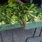RidgewoodFarmersMarketCorn_theridgewoodblog.net