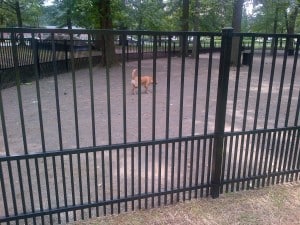 Ridgewood-20120821-00395