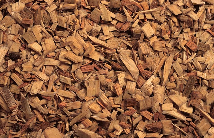 Premium quality wood chips from a sustainably managed forest in WI 