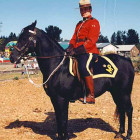 royal-canadian-mounted-police-steroids.jpg+rcmp