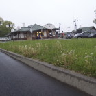 Ridgewood_transtation_grass_theridgewoodblog.net