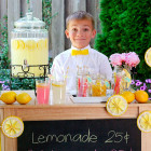 The-Lemonade-Stand1