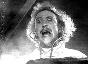 Young Frankenstein2 theridgewoodblog.net