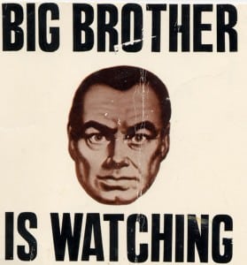 big brother theridgewoodblog.net