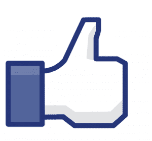 facebook like theridgewoodblog.net