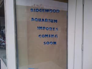 Aquarium Store theridgewoodblog.net