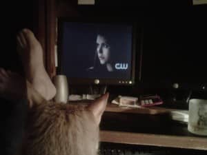 Van Gogh Vampire diaries