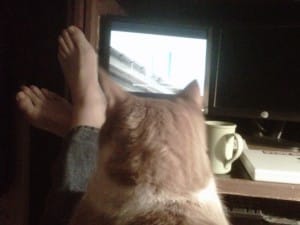 Van Gogh watching tv2