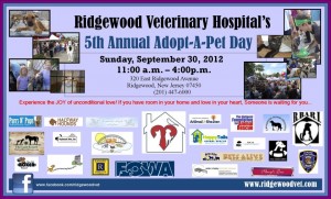 Ridgewood Veterinary Hospitals theridgewoodblog.net