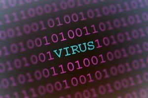 virus theridgewoodblog.net