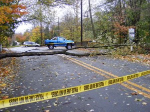 Grove theridgewoodblog.net