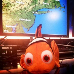 488055_10151498661281320_1269867883_n