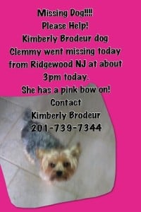 Missing Dog !!!!!!!!!! missing_dog_theridgewoodblog.net