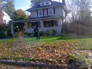 yard_work_theridgewoodblog.net