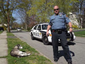 Dogs_Best_Friend_theridgewoodblog.net_