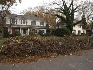 Storm_Debris3_theridgewoodblog.net_11