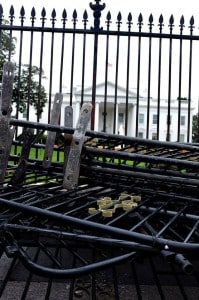 1379690_601592539903596_253394937_n