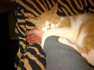 430335_10201107106064424_1728352360_n