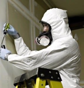 asbestos-removal-costs