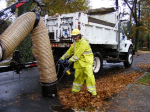 leaf5_pickup_theridgewoodblog.net_