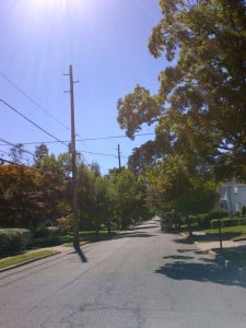 poles2_theridgewoodbog.net_