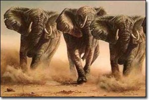 3stampede
