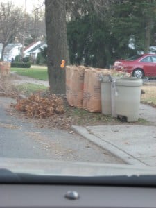 leaf-bags2_theridgewoodblog.net