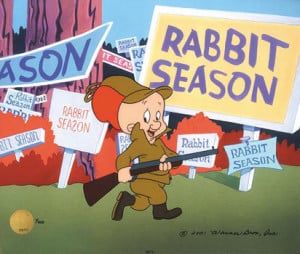 rabbit