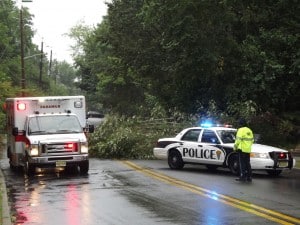 treefalls5_theridgewoodblog.net_1