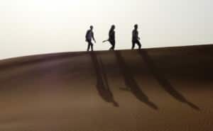 NON-walking_thru_desert