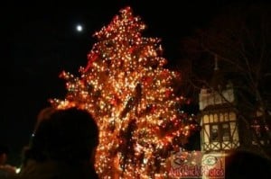 ridgewoodtreelighting_thridgewoodblog.net_1