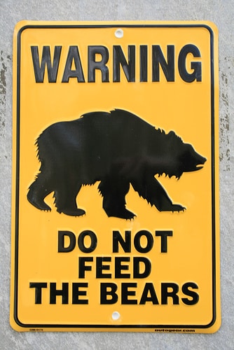 dont-feed-the-bears