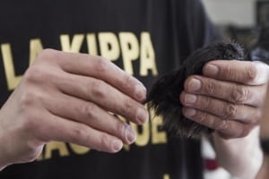 6c56c0c7b4c105036c0f6a706700cff9