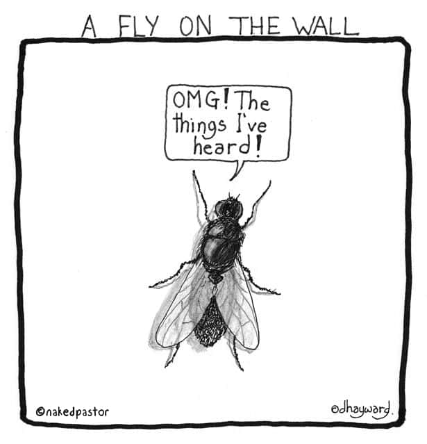 fly-on-wall