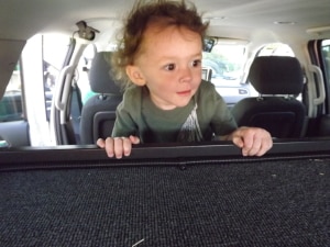 Touch-A-Truck_theridgewoodblog