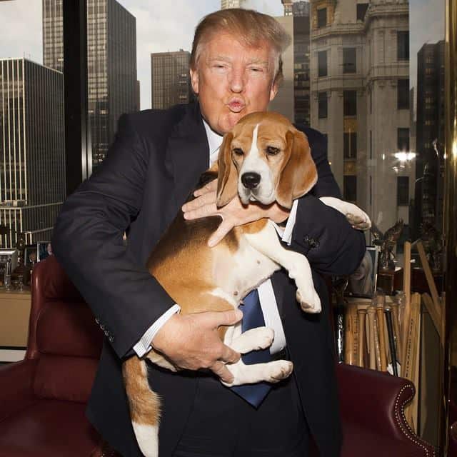 Trump doggy