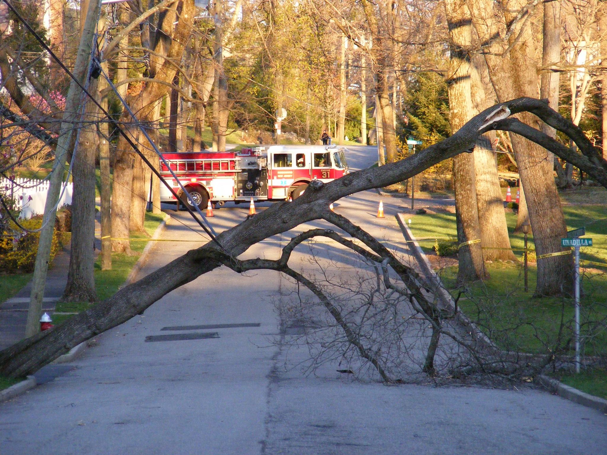 Ridgewood Firefighters Kept Busy with Fallen Trees