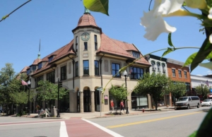 CBD Ridgewood by ArtChick