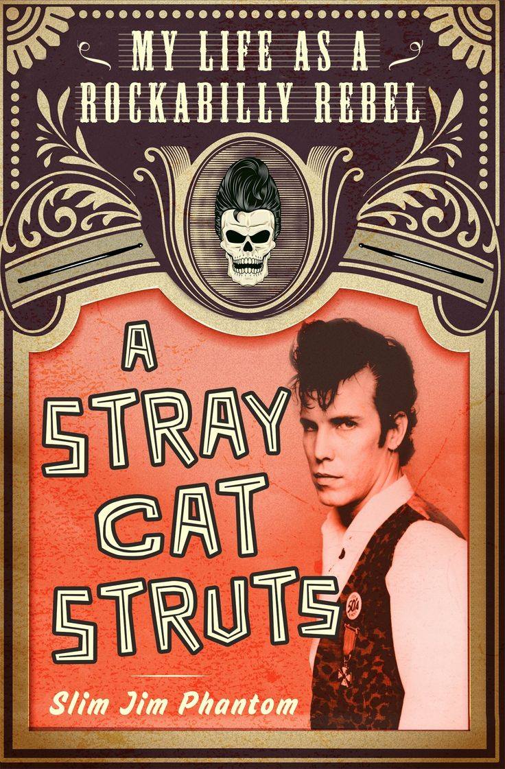stray cats