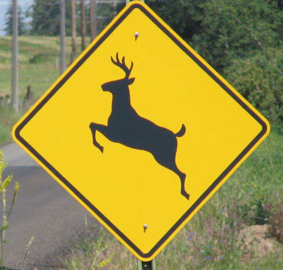 deer alert