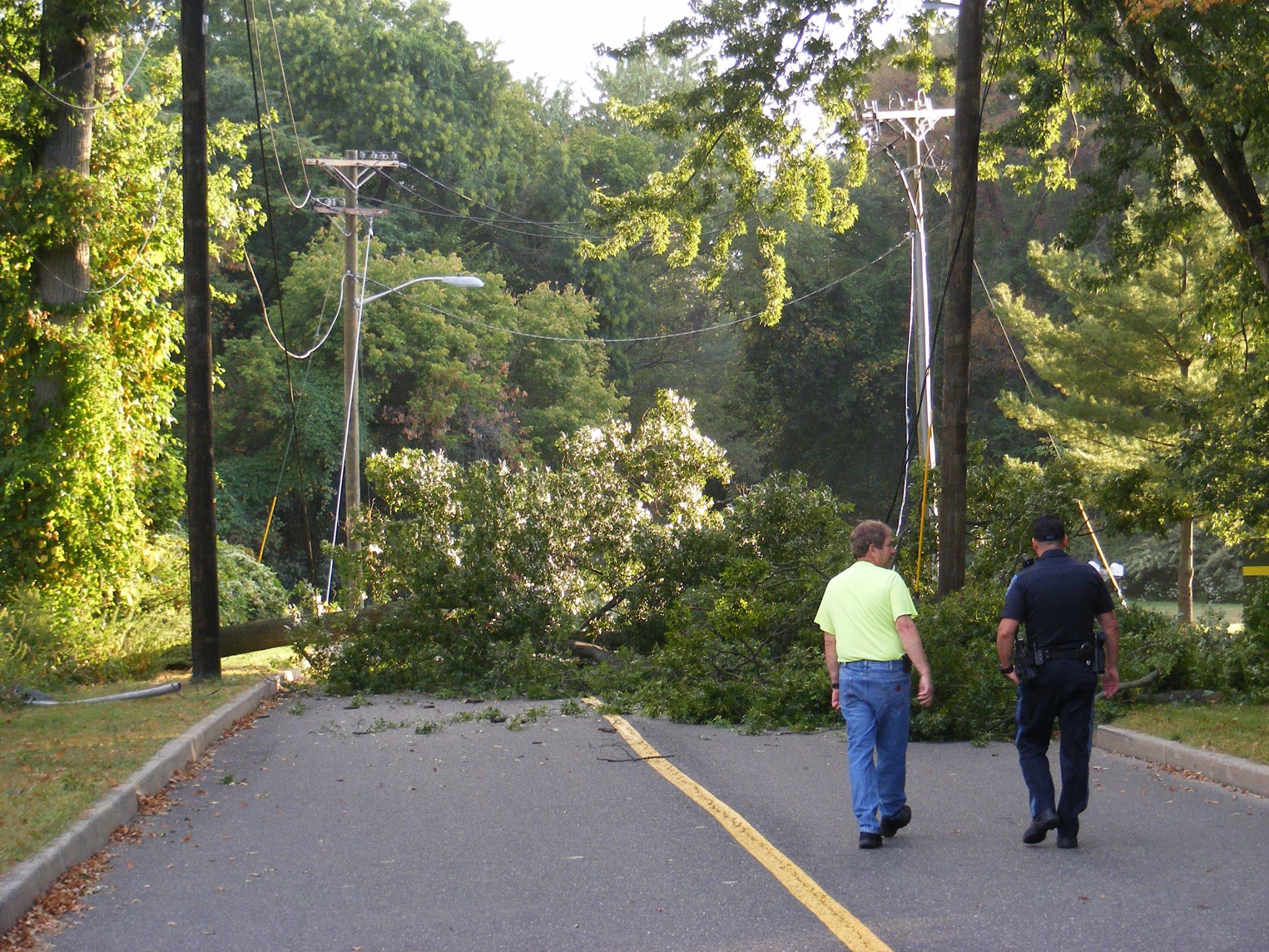 Village of Ridgewood's Water Pollution Control and Signal Bureau facilities Blocked by Fallen Tree