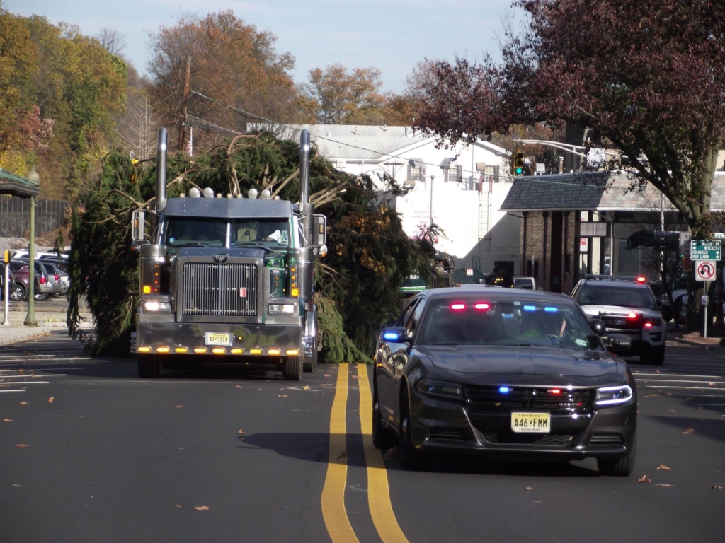 Village of Ridgewood's 2017 Christmas Tree