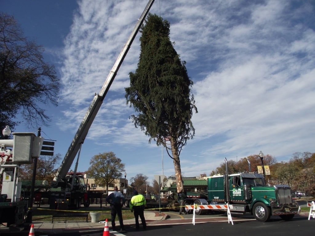 Village of Ridgewood's 2017 Christmas Tree