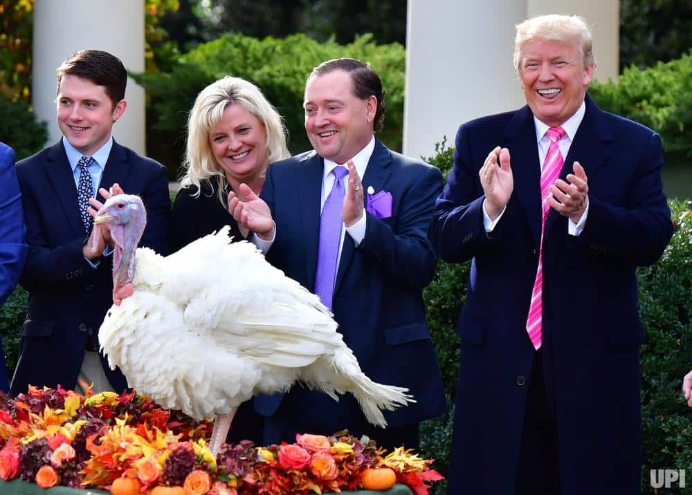 Trump pardons Drumstick the National Thanksgiving Turkey 1 11