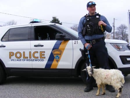 56915775 1073862976133068 4977351090103123968 n