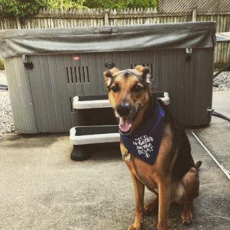 Woof Gang Bakery and Grooming Grooms Ridgewood Firehouse Dogs 101343337 3827395460668046 5876858171980540497 o