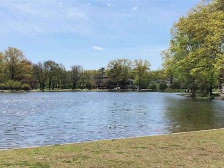 duck pond one