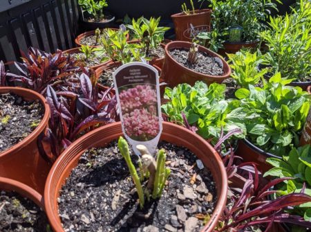 177924680 4409651065732863 2022761496980825597 n