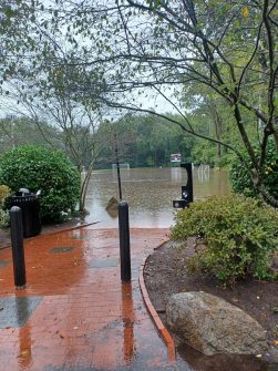 "Low Maintenance" Turf? Invoices Expose Millions in Damage & Emergency Repairs at Maple Park in Ridgewood received 732996021971063