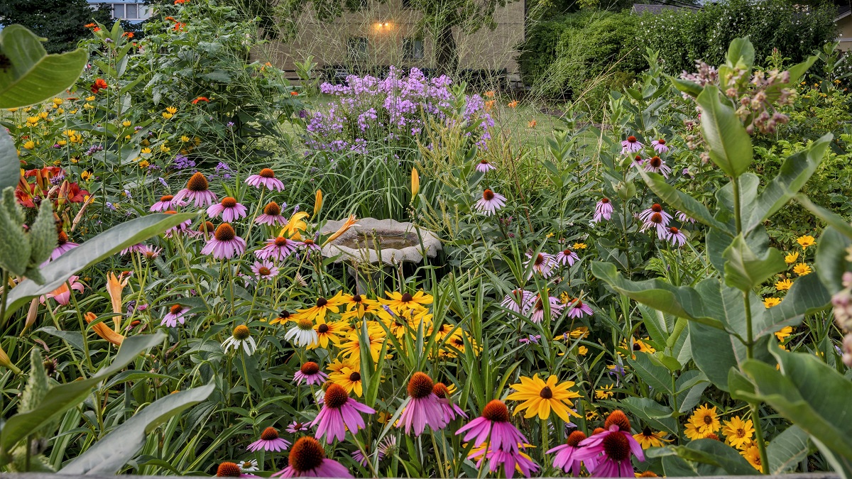 Mahwah Museum: Introducing Native Plants to Your Garden AdobeStock 136392747 1 65590632